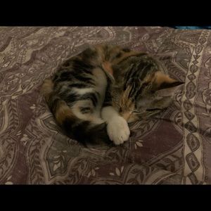 Meet your Posher, Athar